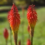 4 Star Gascon Retreat With Pool And Tennis Court Villa *