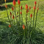 Villa 4 Star Gascon Retreat With Pool And Tennis Court Aignan