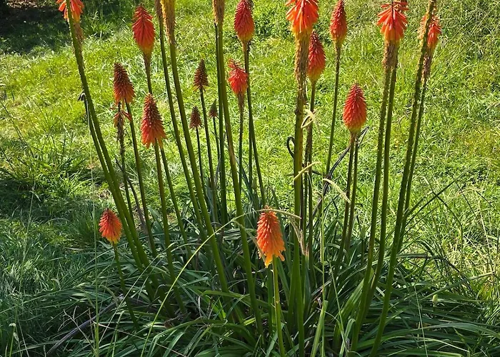 ヴィラ 4 Star Gascon Retreat With Pool And Tennis Court Aignan